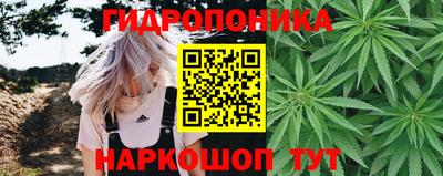 прущие крисы Нальчик