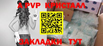 прущие крисы Нальчик